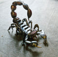 Scorpius (scorpion sculpture)