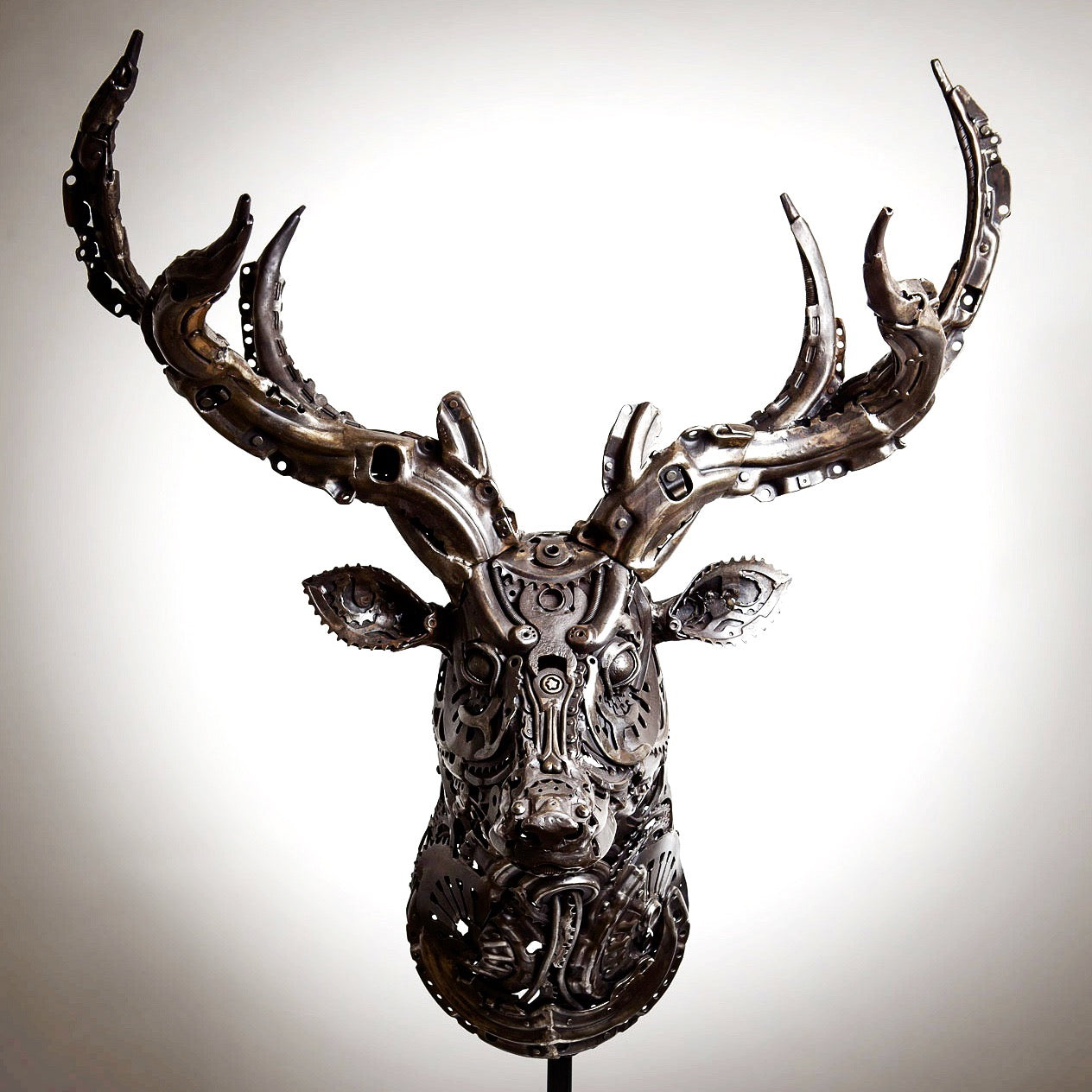Spirit of the Forrest  (Stag bust)