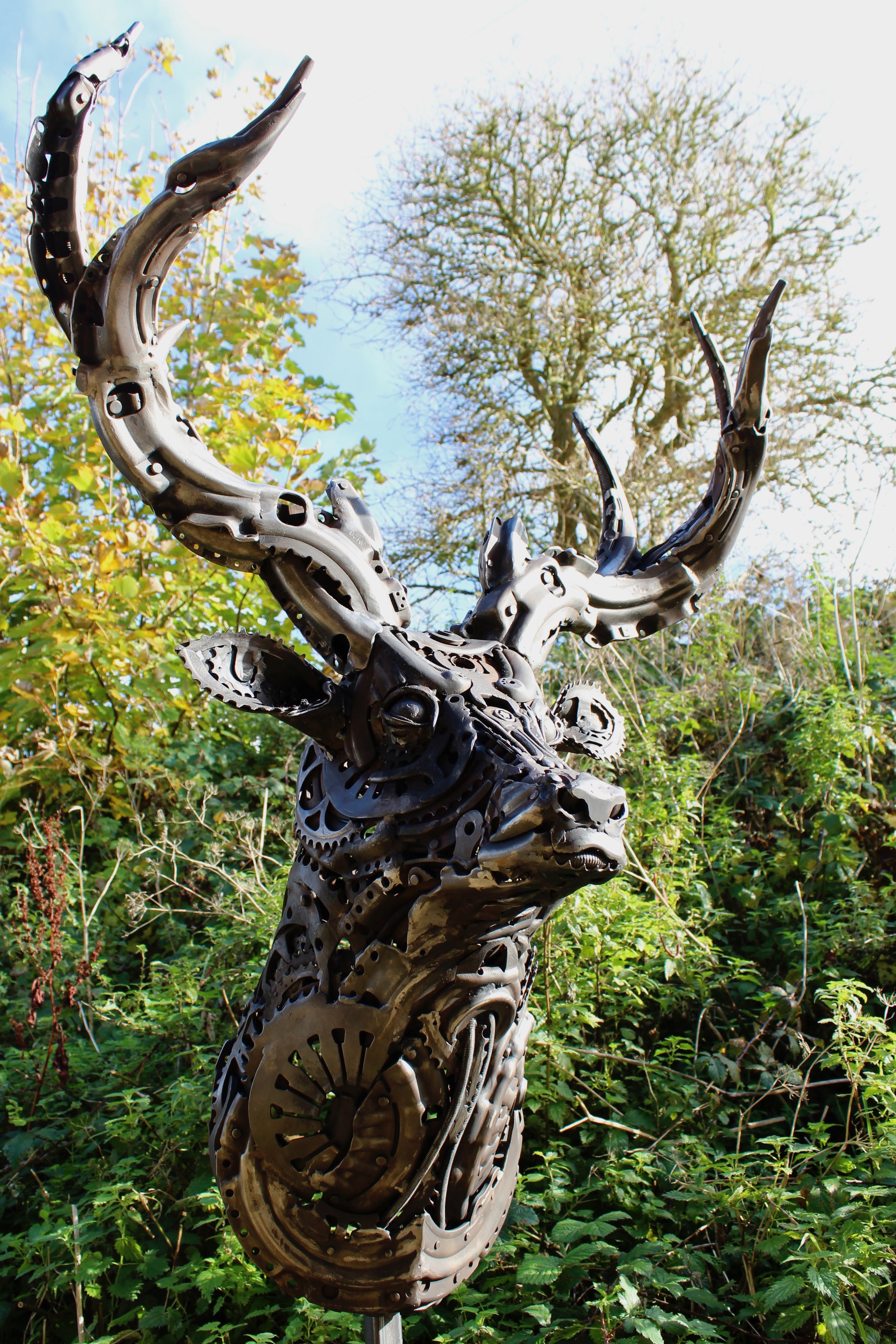 Spirit of the Forrest  (Stag bust)