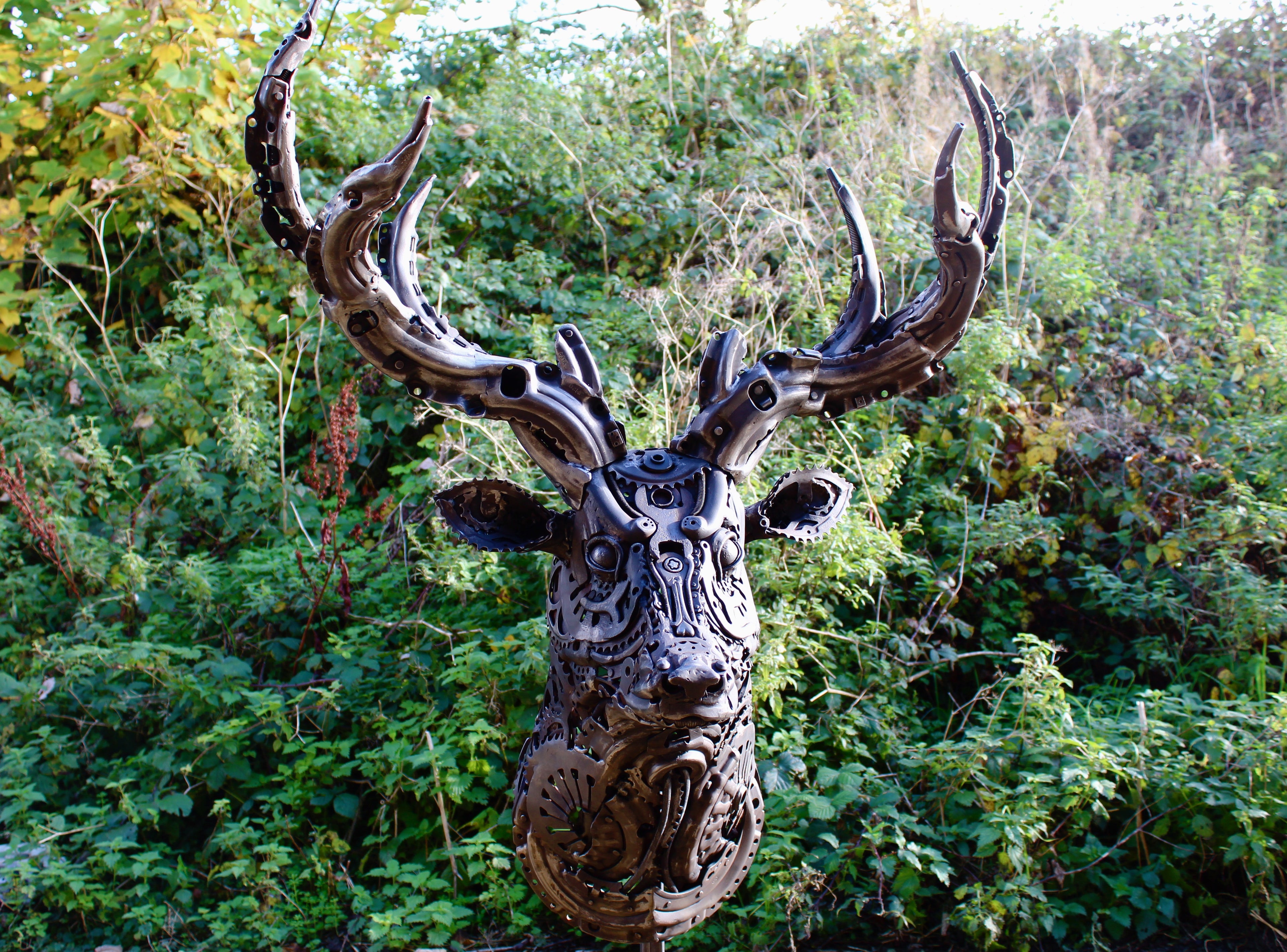 Spirit of the Forrest  (Stag bust)