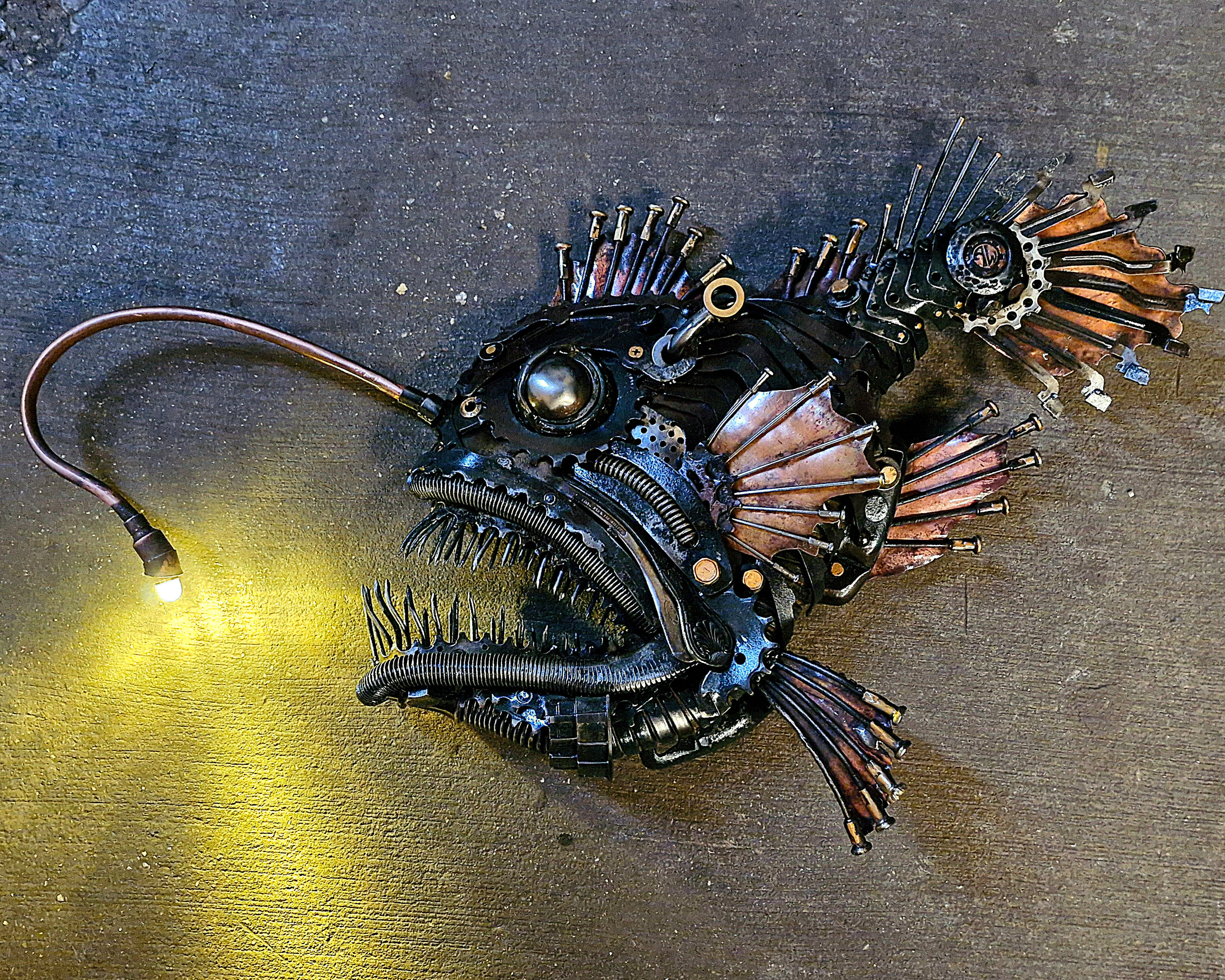 Night fishing- Angler fish