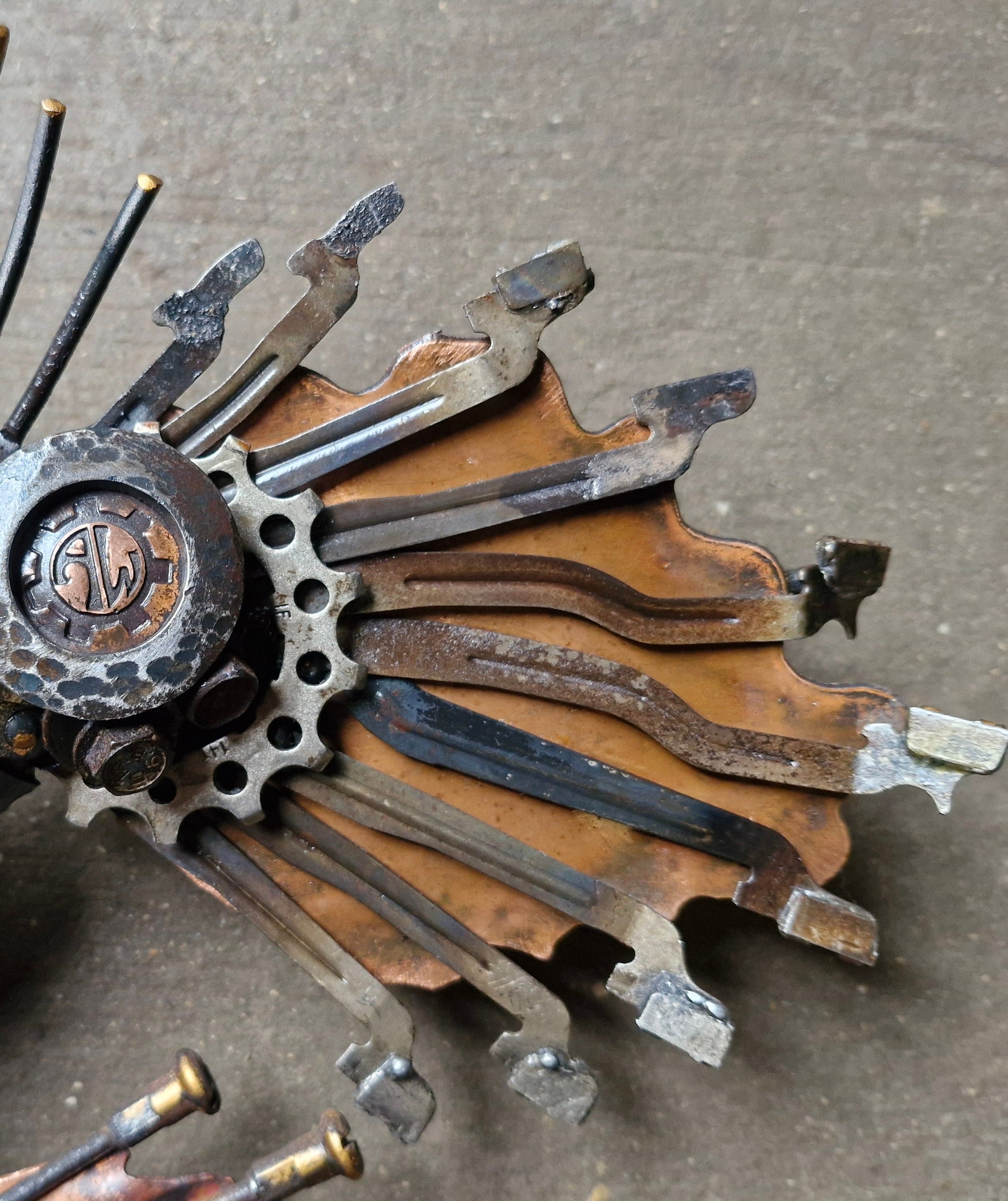 Night fishing- Angler fish