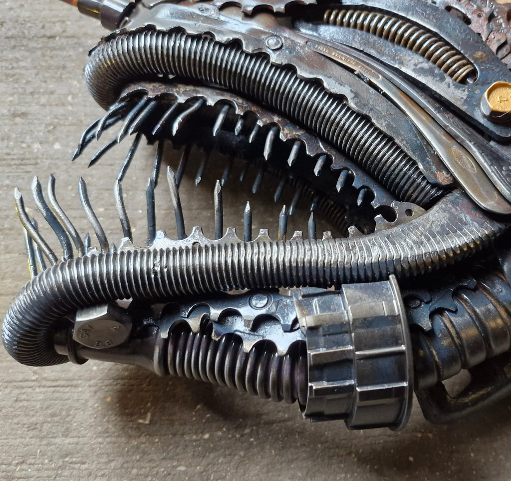 Night fishing- Angler fish