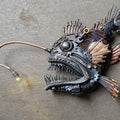 Night fishing- Angler fish
